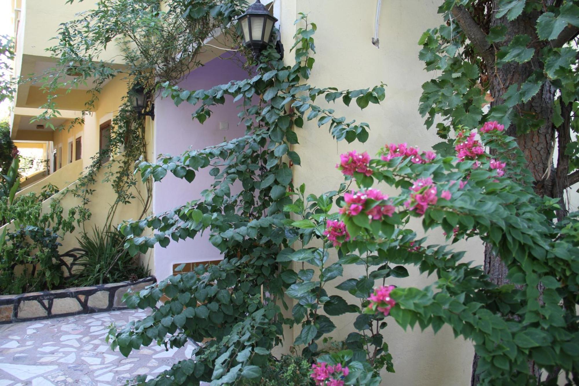 Hotel Sema باتارا المظهر الخارجي الصورة